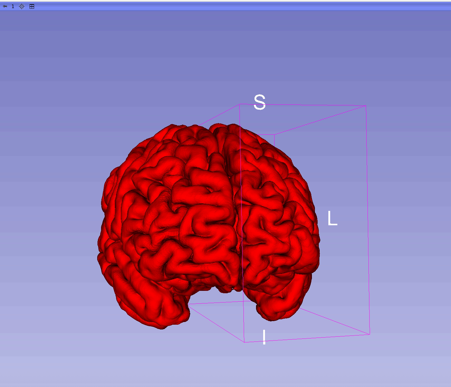 Whole-Brain Surface Overlay